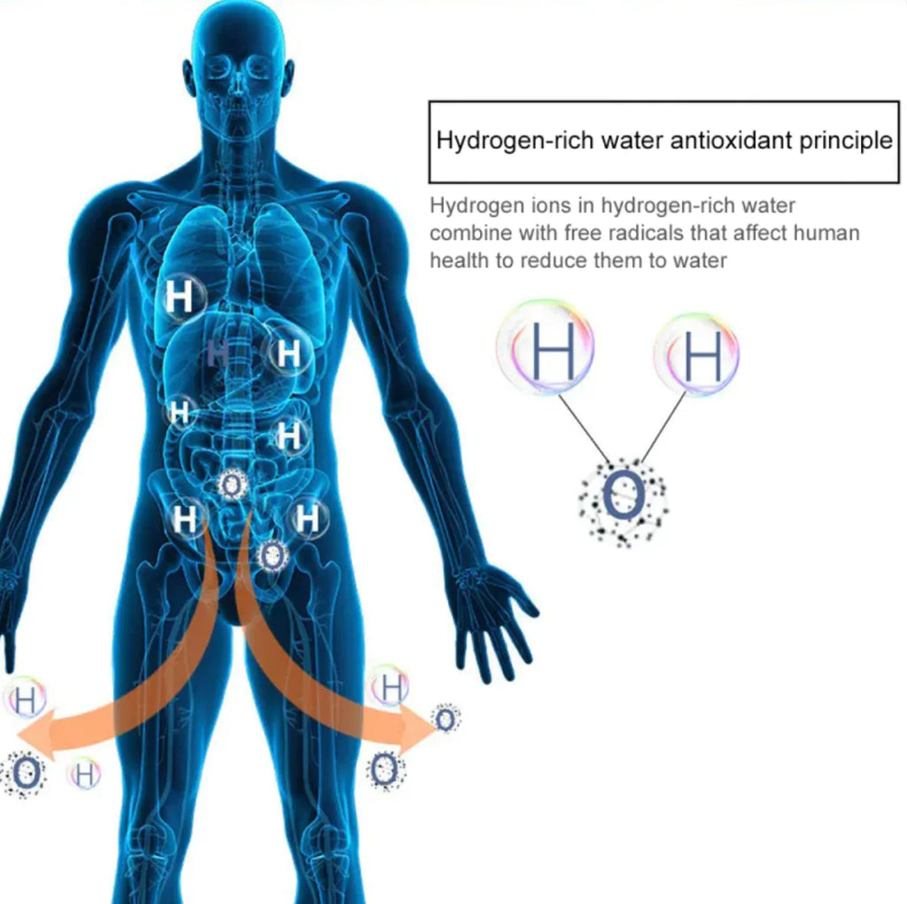 Hydrogen Health Water Cup